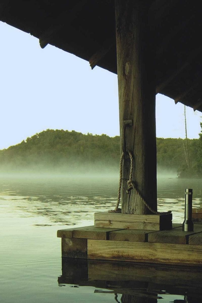 Foggy pine ridge at dawn