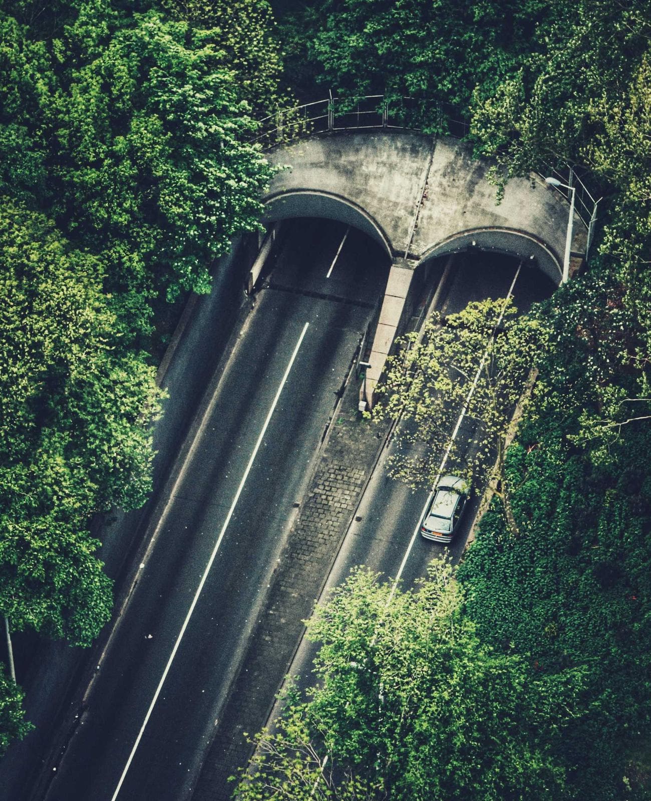 Aerial view of a road entering twin forest tunnels